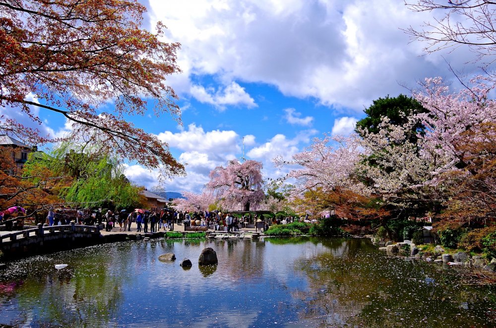 Công viên Maruyama, Kyoto